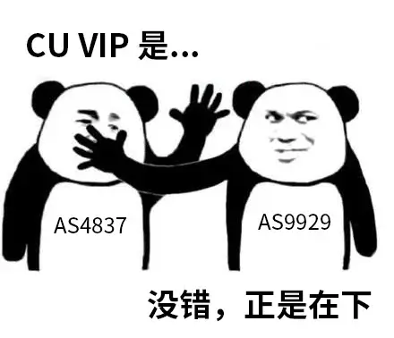 图片[9]-VPS线路解析指南-皑雪