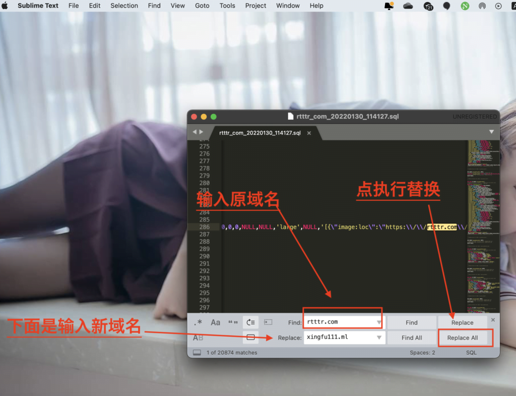 图片[9]-WordPress网站更换新的域名-皑雪