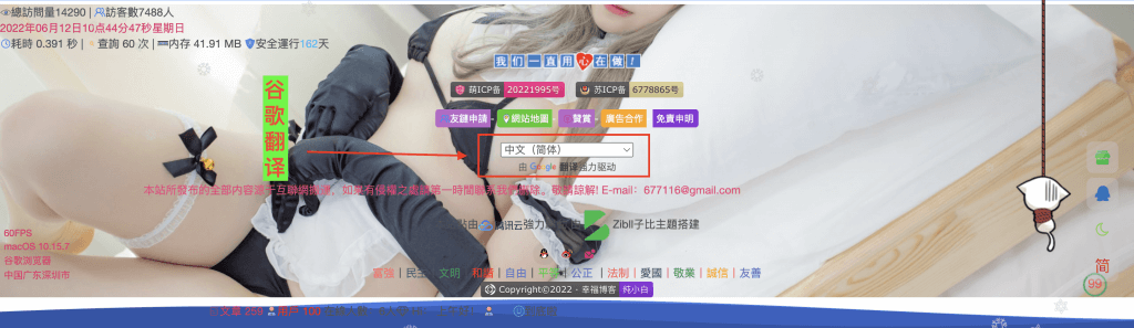 WordPress 网站上添加 Google 翻译按钮-皑雪