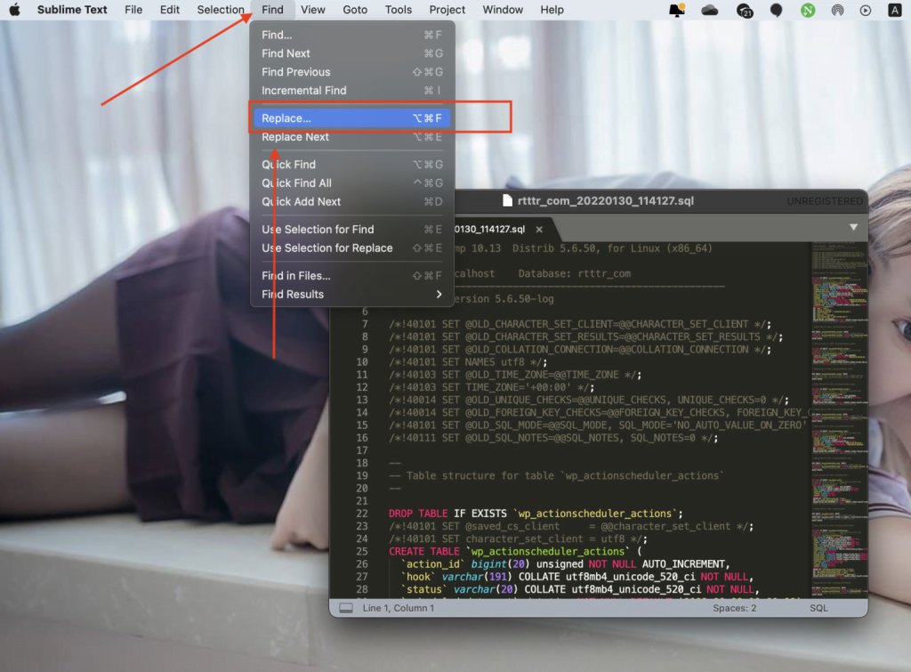 图片[8]-WordPress网站更换新的域名-皑雪